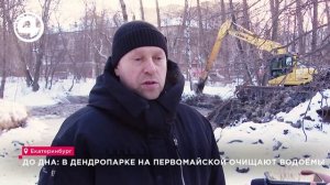 До дна: в Дендропарке на Первомайской очищают водоёмы