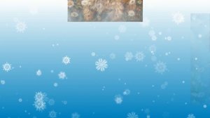 Слайд щоу Домашние любимцы