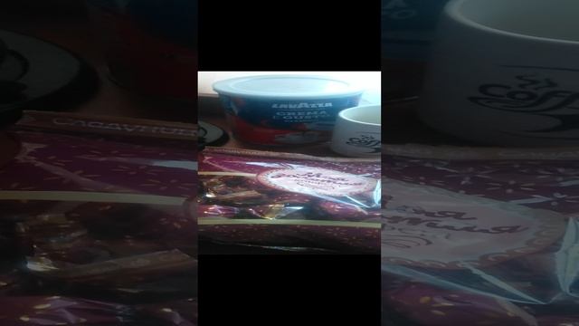 VID_20241227_094402.mp4