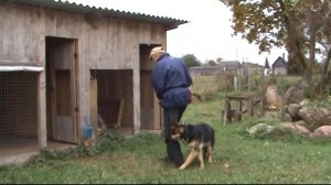Дрессировка немецкой овчарки Бека. Вывод собаки из вольера, 3 формы взаимодействия