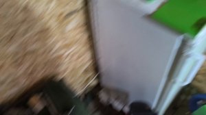 ТВ 4 Сделали себе подарок на новый год!