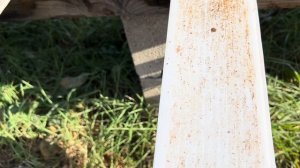 Результат обработки проливом амитраза