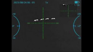 Охота с прибора С18 35мм, первый шот с 143м, второй с 174м (примерно). Итог -2.