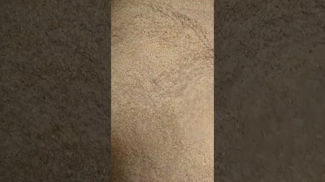 Мука пшеничная, из пророщенных зерен пшеницы