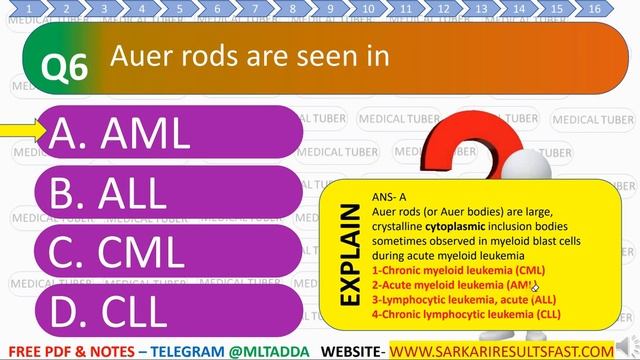 MP ONLINE MLT EXAM 2023 QNA смотреть онлайн