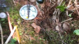 Отличный коп на Японском фундаменте! Karafuto. Sakhalin.