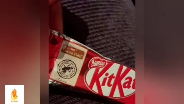 رسمه الضفضدع على المنتجات|تفسير مسحوق الحشرات فى الاغذيه ورد من هيئه الغذاء والدواء смотреть онлайн