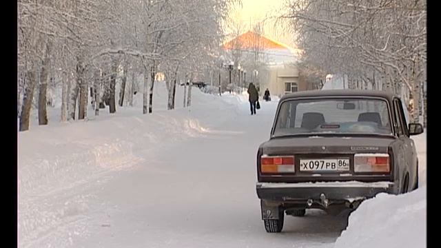 Бездомные собаки смотреть онлайн