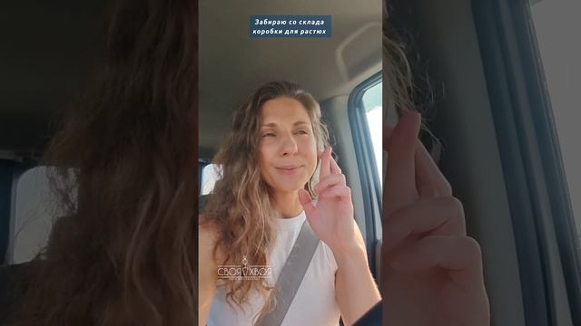 Скоро растюхи поедут по домам