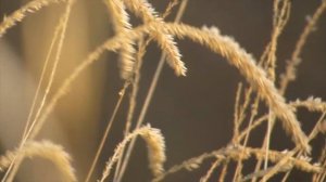 Древлегорск. "Святица". "First". "Игра света".