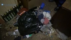 «Девочка – маугли» из Талдома