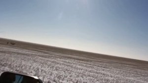 казахские тазы охота на лис часть 3