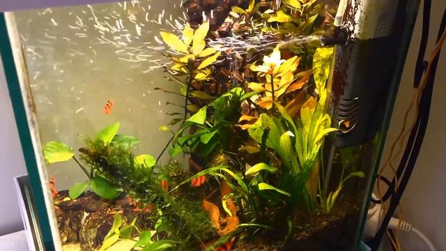 Скейп 2019 17 февраля смотреть онлайн