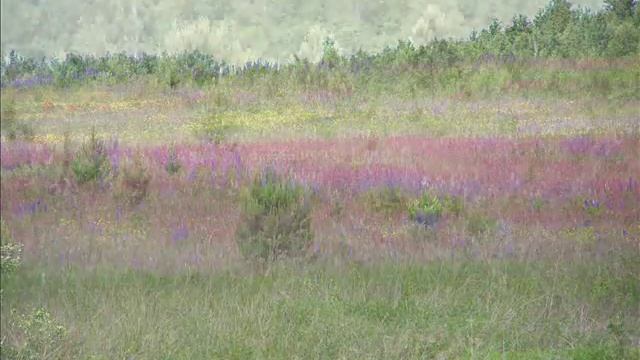 К ЗЕМЛЕ-МАТУШКЕ С ЛЮБОВЬЮ И БЛАГОДАРНОСТЬЮ !