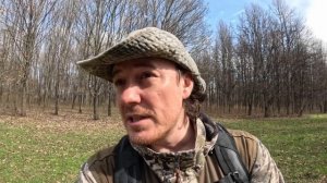 Неясыть и вяхирь. Кто открывает кормушки. Дневник натуралиста, 13.04.2024 г.