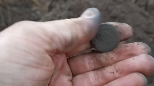 Шурф интересного Хутора. Много монет. смотреть онлайн