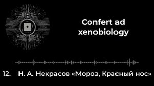 12. Н. А. Некрасов «Мороз, Красный нос» feat. Амалрик Свифберд