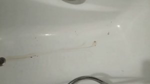 ПРАНК НАД МАМОЙ/МЕНЯ СТОШНИЛО🤢