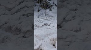 Карелия,  Природа, водопады, долина водападов