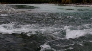 Падение Коксу в Аргут.