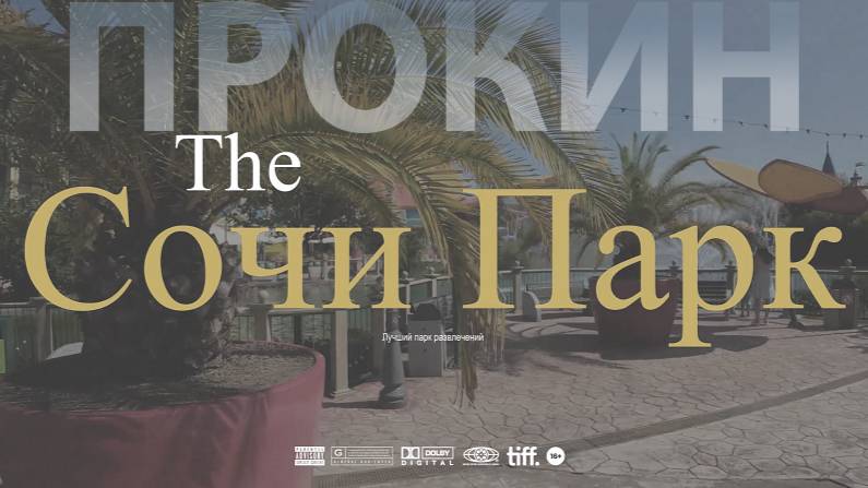 Прилетели отдыхать в Сочи сняли апраты в Альфа сириус посетили Сочи парк