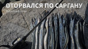 Сарган на пилькеры и стики. Лучшая морская рыбалка 2024!