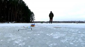 Рыбалка 26 декабря на уникальные снасти - Растяжки особые хитрые!