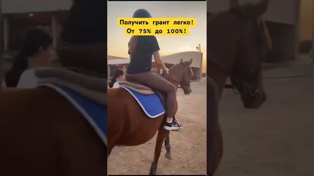 Получить грант легко! #высшееобразование #бесплатноеобучение