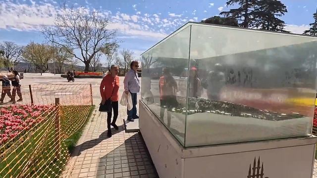 Турция 2024. Стамбул - город контрастов❗️Парк Эмирган Круиз по Босфору ЕДА ТЮЛЬПАНЫ. Стамбул 2024