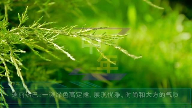 中年9月22日迪丽热巴 参加活动的照片被公开迪丽热巴 一袭绿色高定裙 showbiz dilireba
