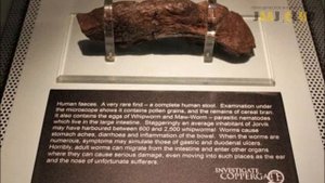 Самые дорогие в мире человеческие экскременты