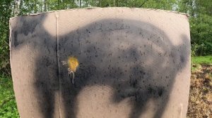 BLASER R93 3006spr ПРОВЕРКА НА 500М