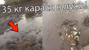 Рыбалка в луже! Забросили кастинговую сеть и офигели! Поймали карася и отпустили в реку!