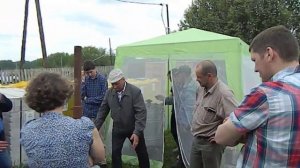 Улей УДАВ встреча в Брисовке  парогенератор Перевалова