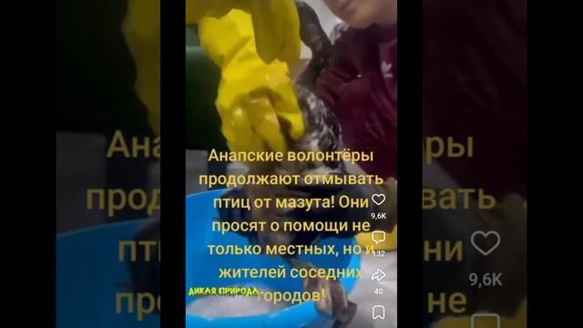 Волонтёры спасают Анапский берег от катастрофы