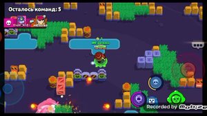 Нарезка агро