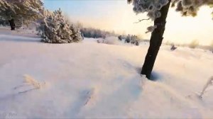 Зимний лес | #этотвеликолепныймир #свысоты #квадрокоптер