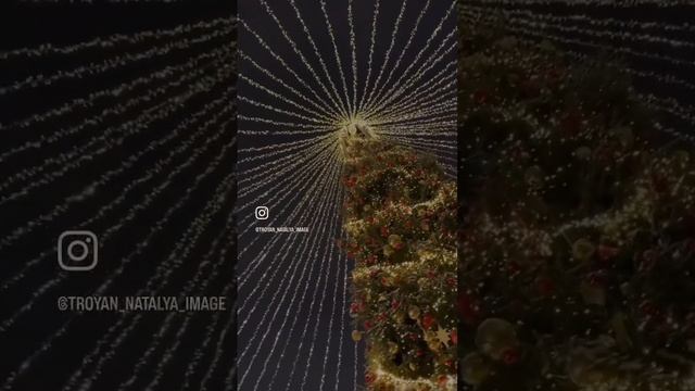 Новогодняя сказка🌟 #визуализатор #визуализация #визуальныйконтент #красивыйвид #личныйбренд