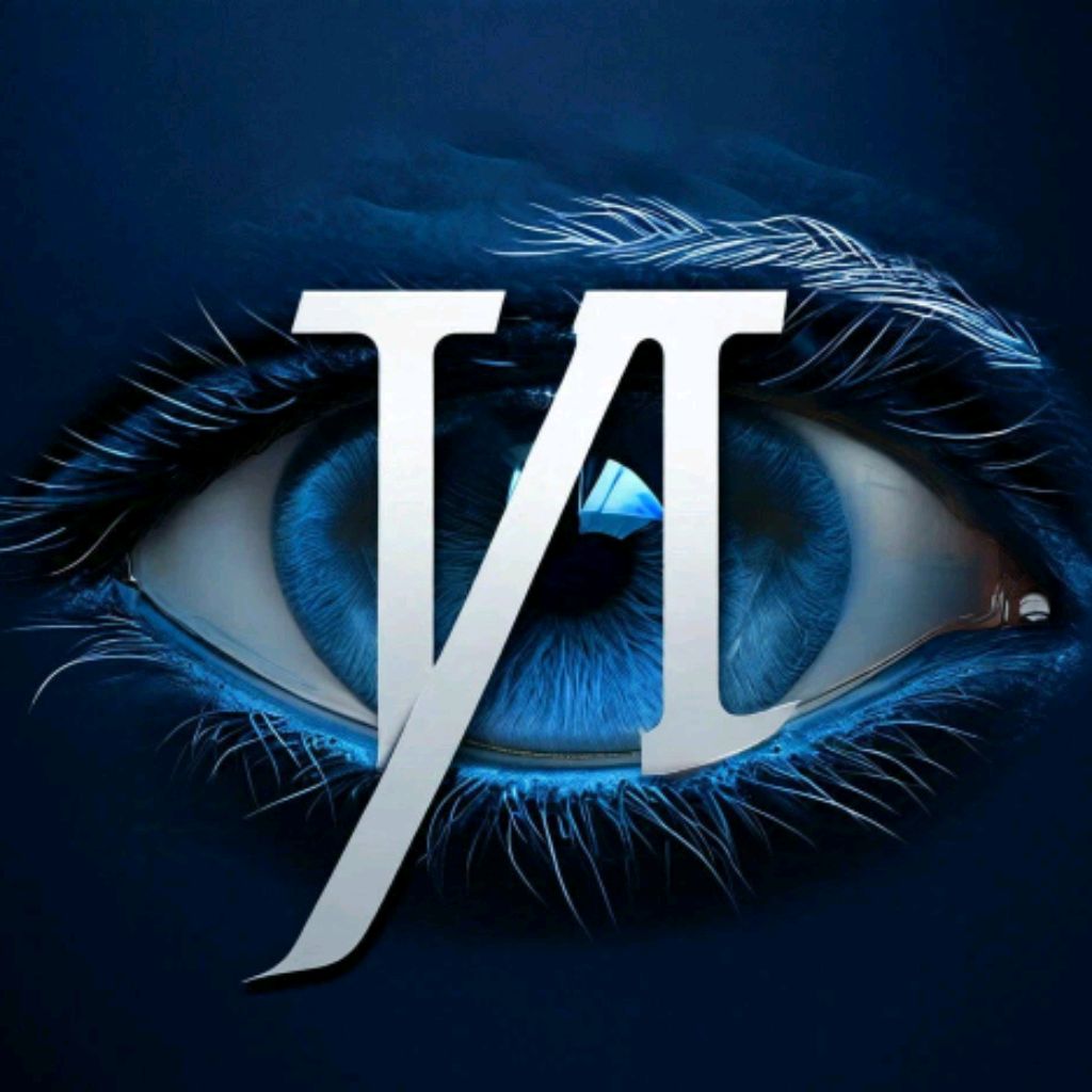 VisionHub