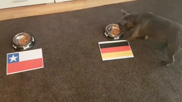 Confederations CUP Russia 2017 "Chile VS Germany" Final смотреть онлайн