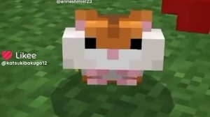 Не думала, что тебя встречу)))