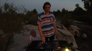 insect rave