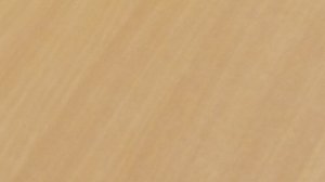 speed build house adopt me roblox.