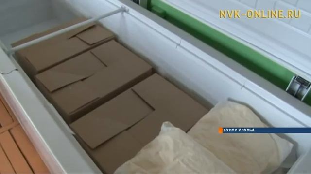 Бүлүү улууһун Тыымпы нэһилиэгэр быйыл 700-тэн тахса хороҕор муостаах кыстыаҕа смотреть онлайн