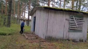 ЕйскРошаль. Ремонт. Новая машина Никиты. Декор стен готов. Опять по грибы. Там ступа с Бабою Ягой..