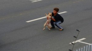 Прохожие застыли в УЖАСЕ! Ребёнок выбежал на дорогу чтобы спасти сбитую собаку!
