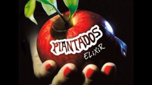 3) Reina Del Pancho Bar - Elixir (2014) - Piantados Rock