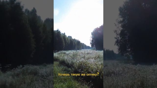 Косуля. Охота. Беларусь #shorts #спектроптик #охота #трофей #косуля #прицел #оптика