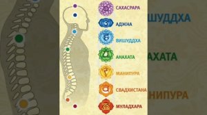 Как проверить состояние чакр? часть 1