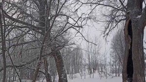 Опять метель.